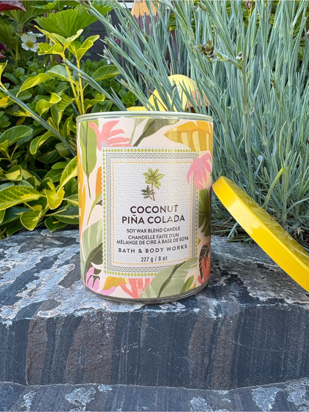 Bath & Body Works Coconut Piña Colada Candle - Yellow, Pink, Green